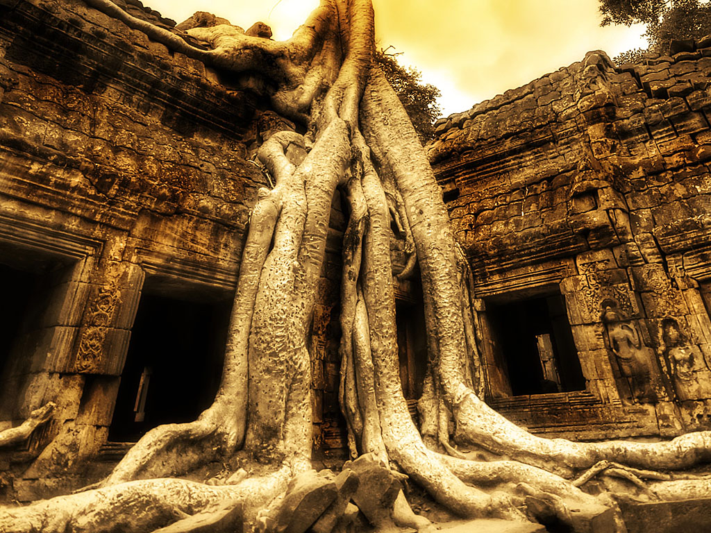Angkor Wat Background