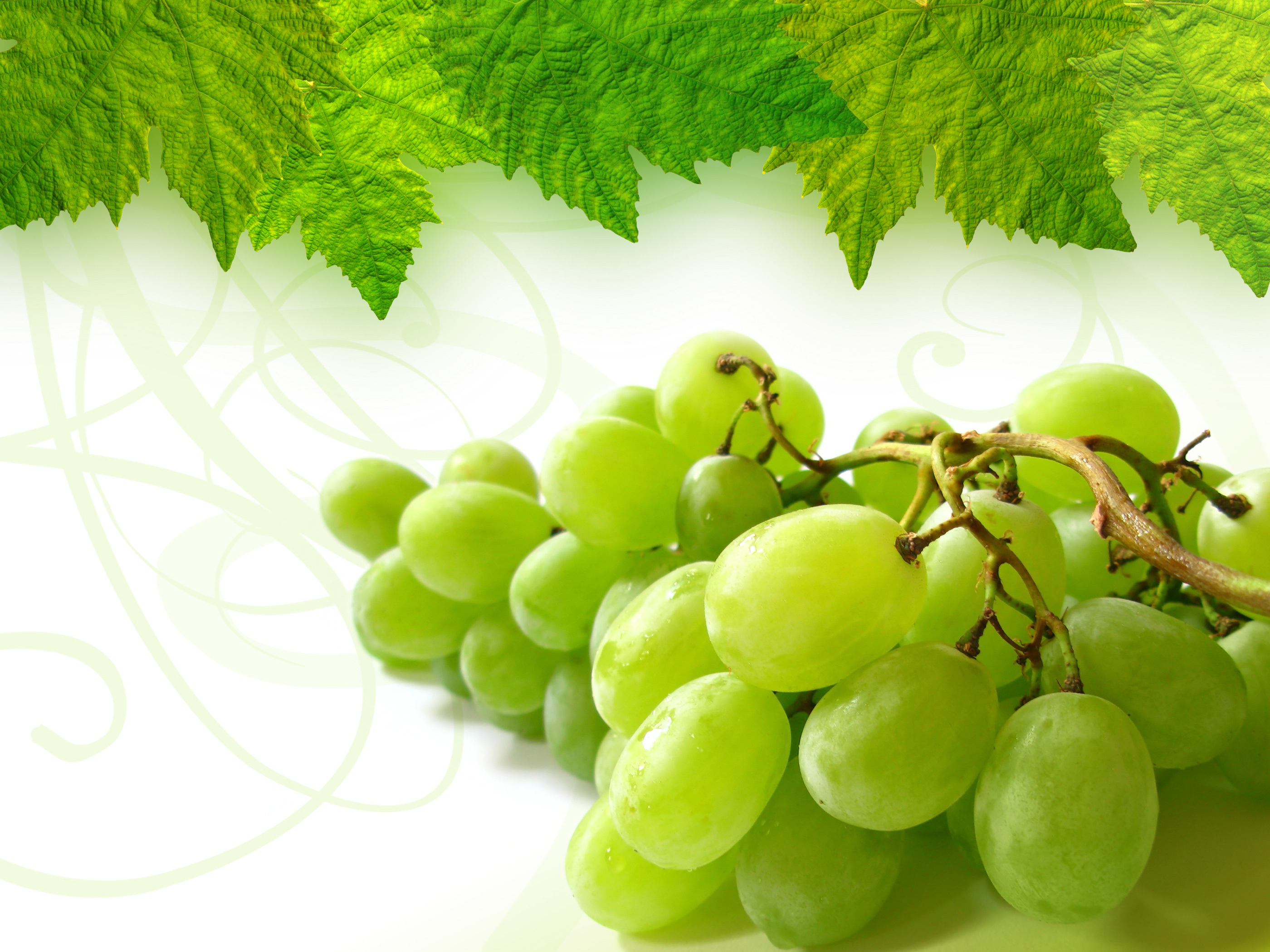 Grape Full HD Wallpaper And