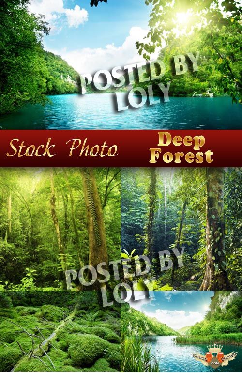 Photo Realistic Background With Deep Green Forests Trees And