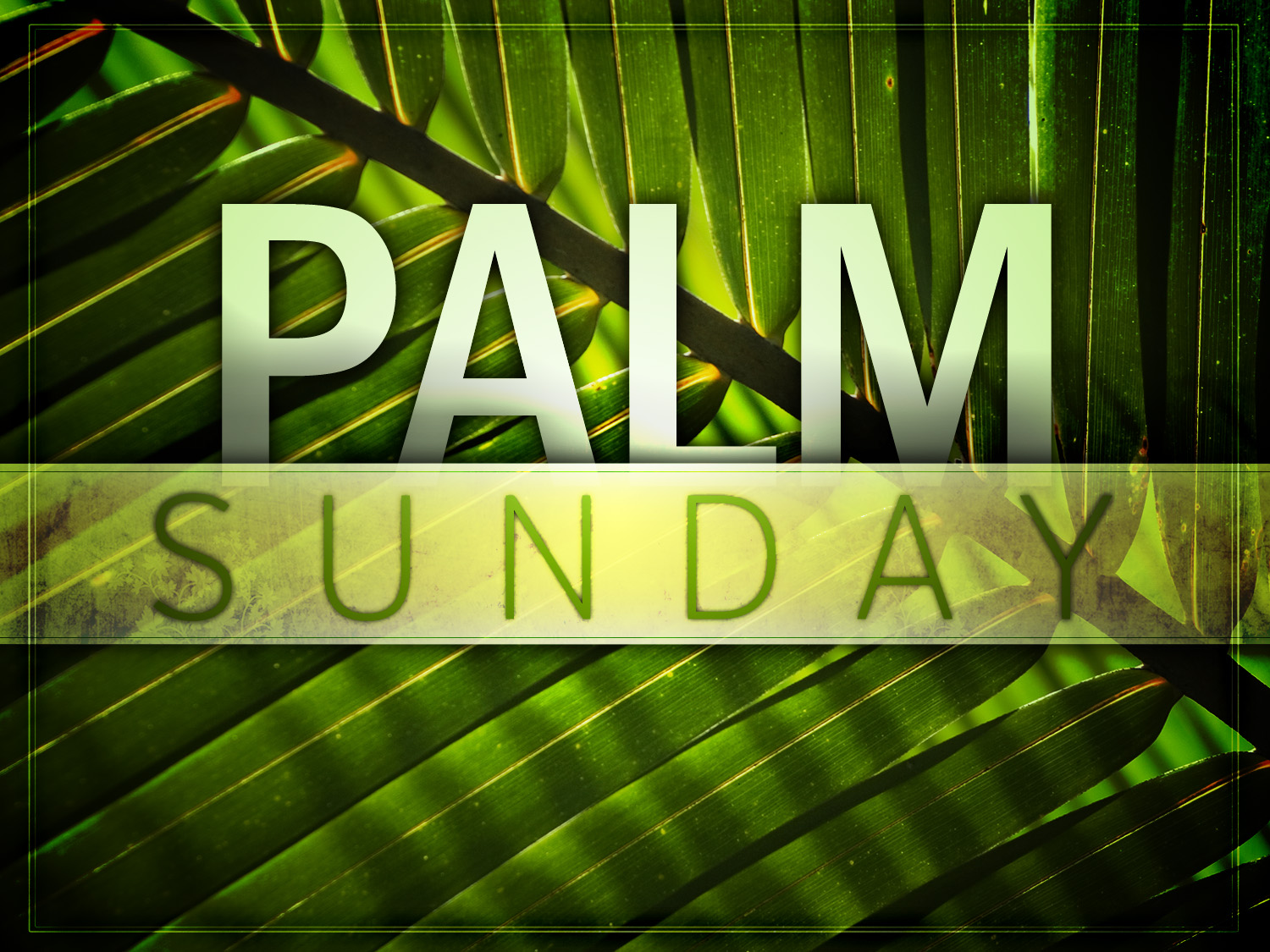 Free download PicturesPool Happy Palm Sunday Wallpaper [1500x1125] for your  Desktop, Mobile & Tablet | Explore 42+ Palm Sunday Wallpaper Background | Easter  Sunday Wallpaper, Palm Tree Wallpaper, Sunday Morning Wallpaper
