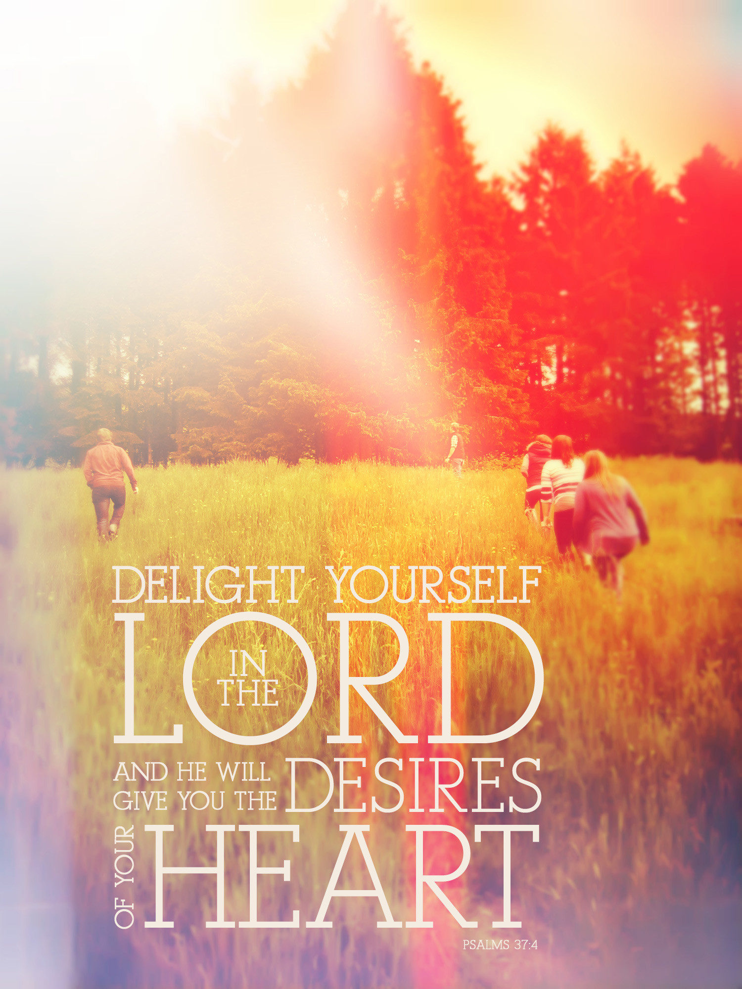 Bible Verse Wallpaper - Psalm 37:4 - Delight Yourself in the Lord