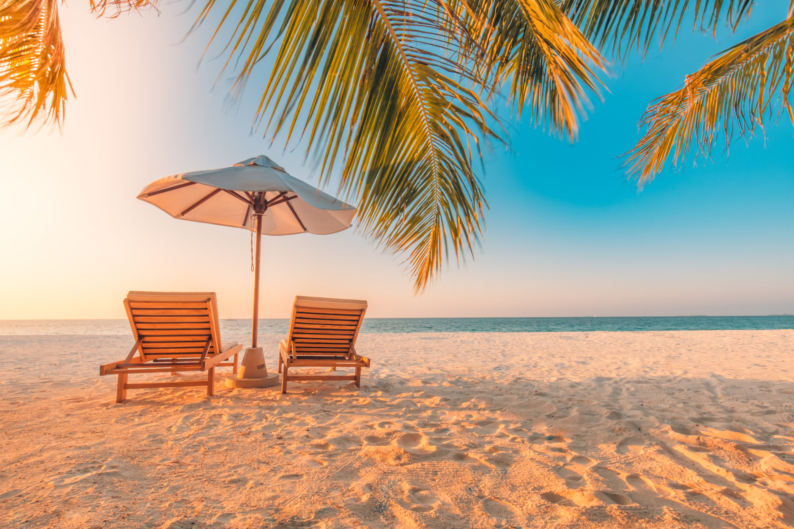 White Beach Background Wallpaper