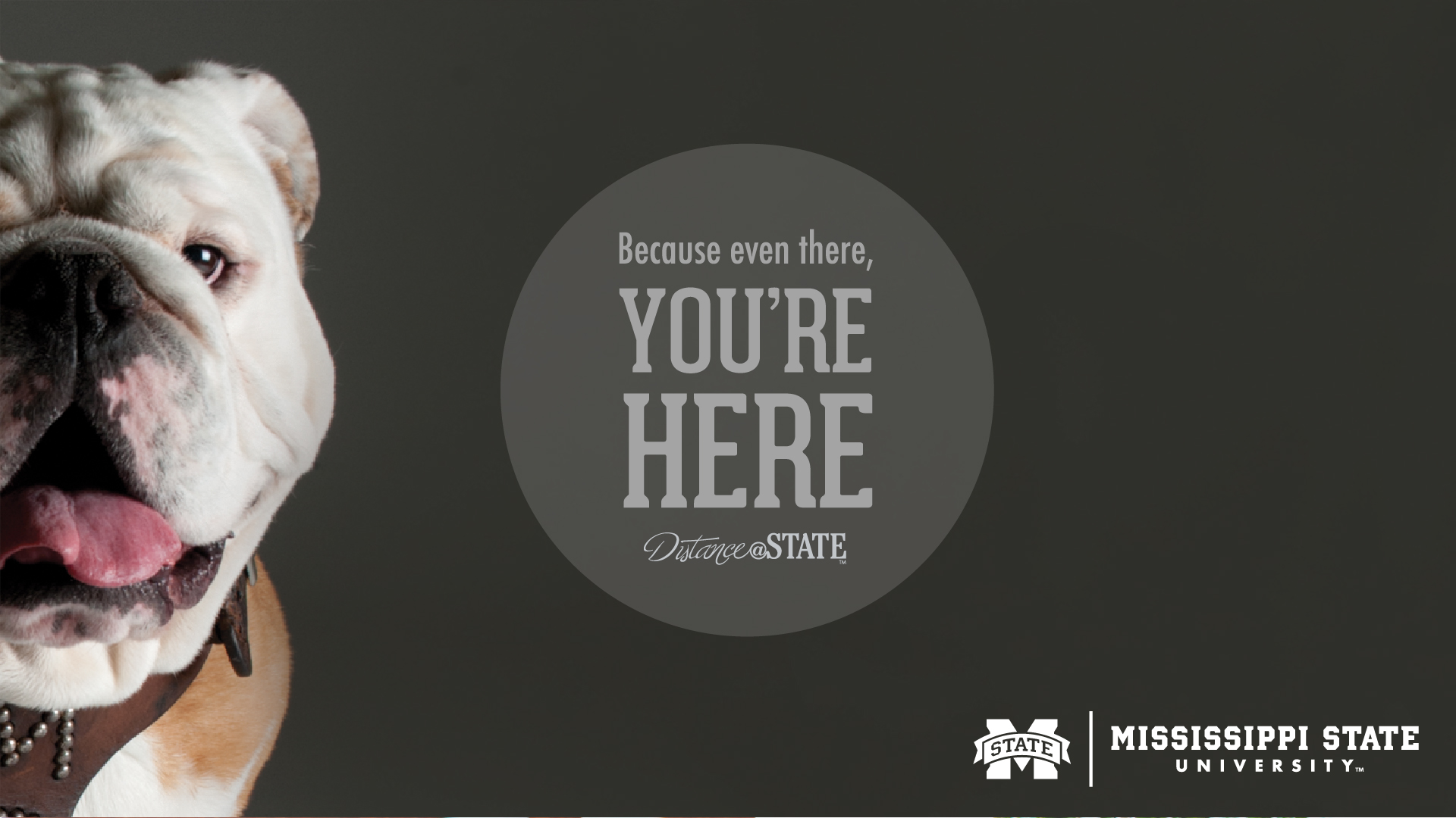 For Distance Education Wallpaper Mississippi State University
