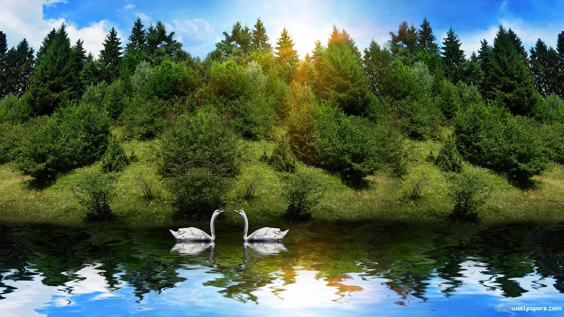 Two swans on a serene lake with a backdrop of a lush green forest and a clear blue sky