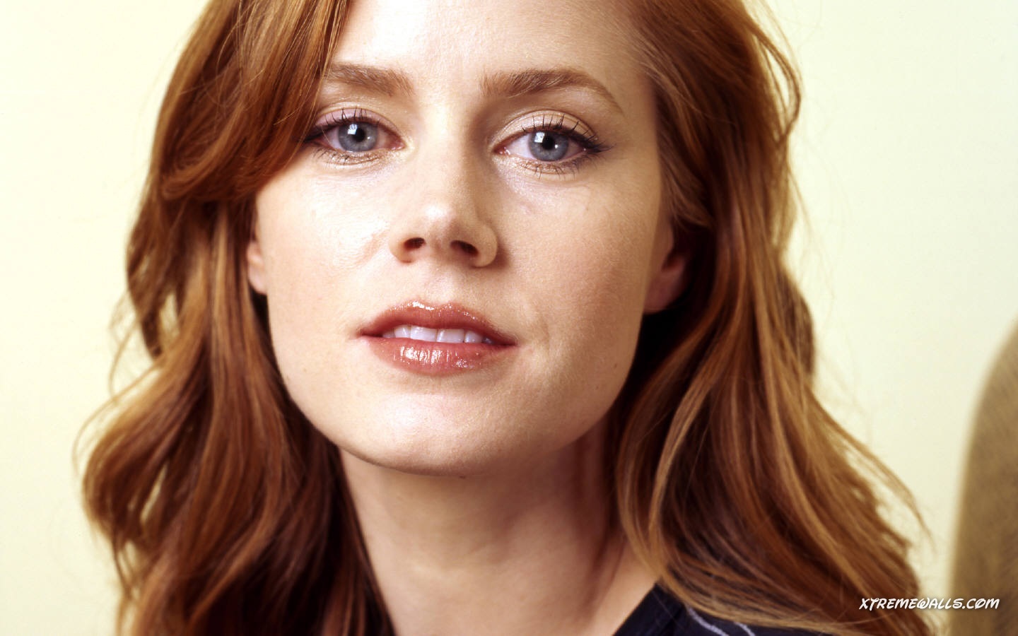 Amy Adams High Quality Wallpaper This