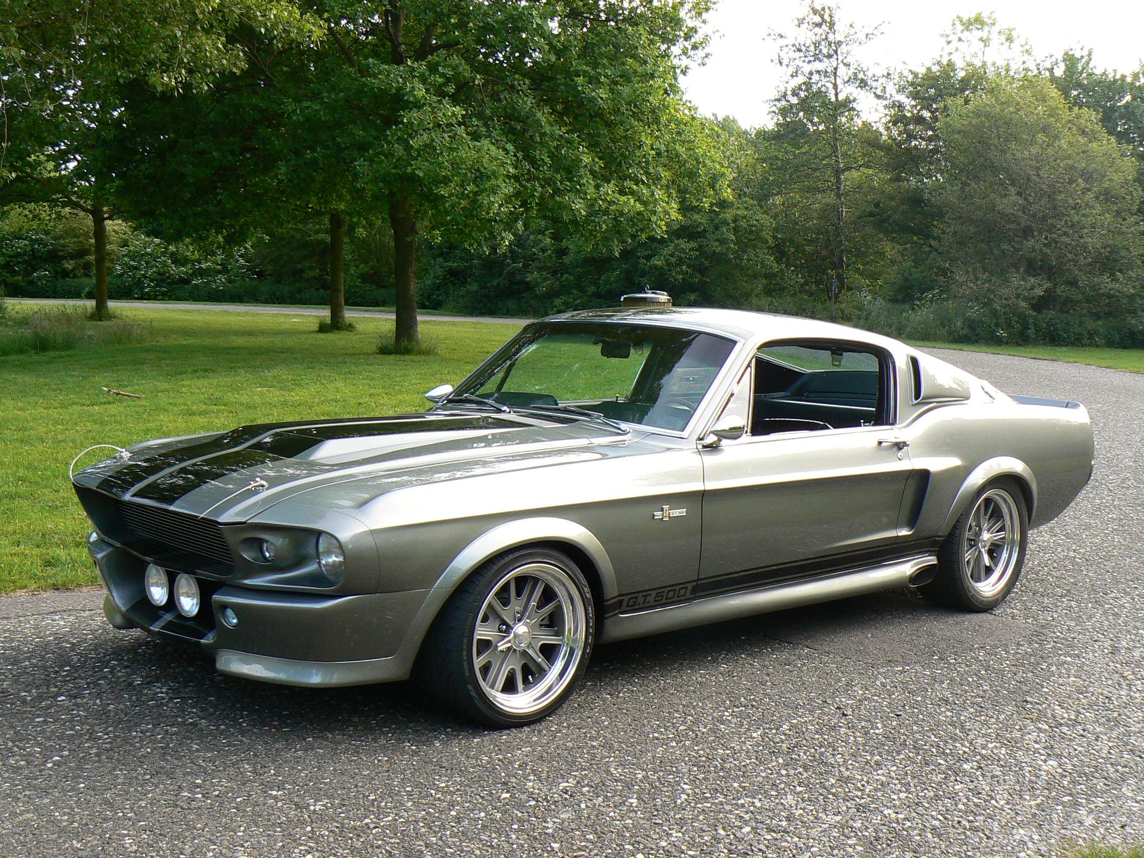 Classic Cobra Eleanor Ford Gt500 Hot Muscle Mustang Rod Rods