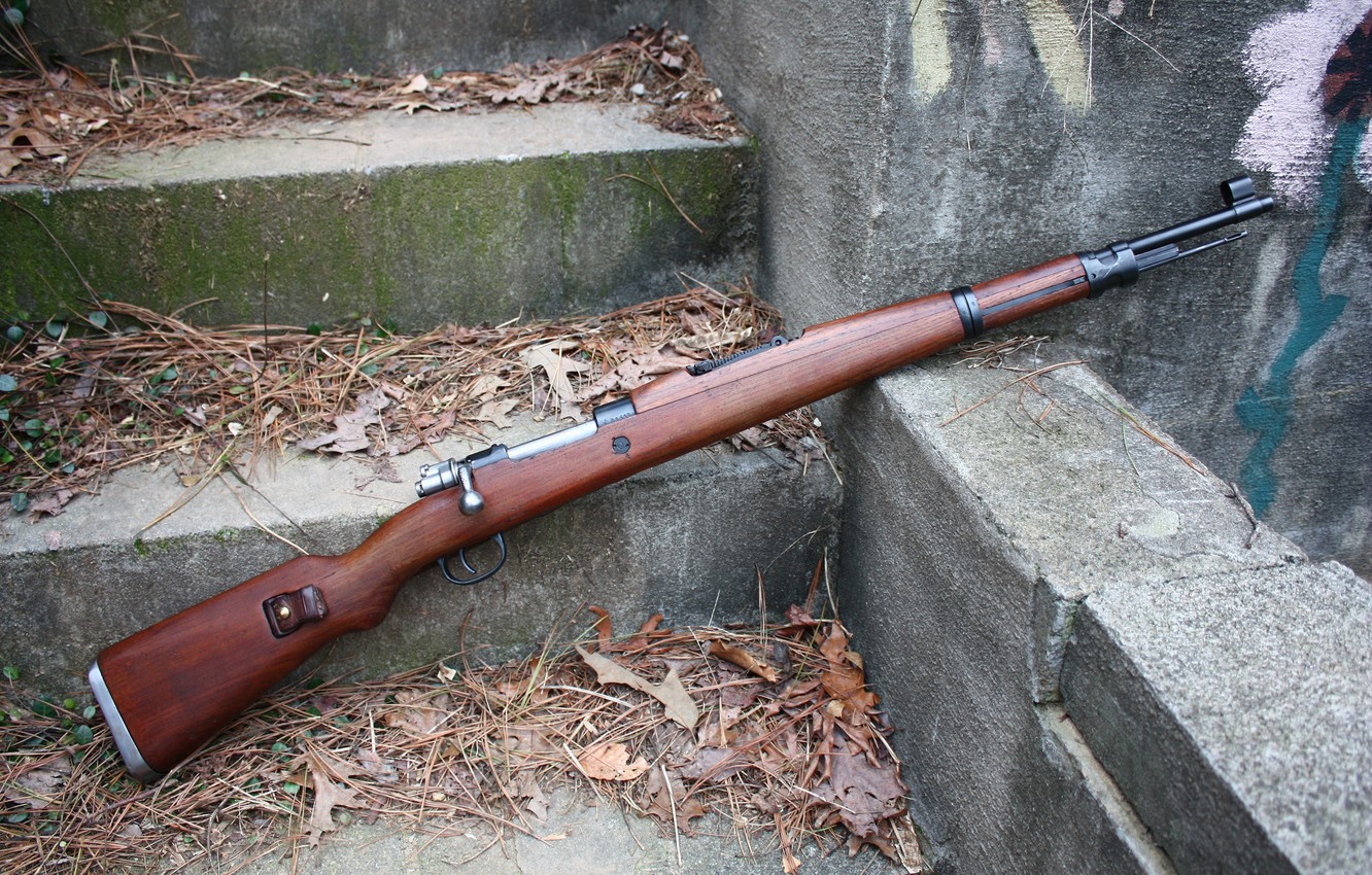 Wallpaper Leaves Rifle M48 Mauser Image For Desktop