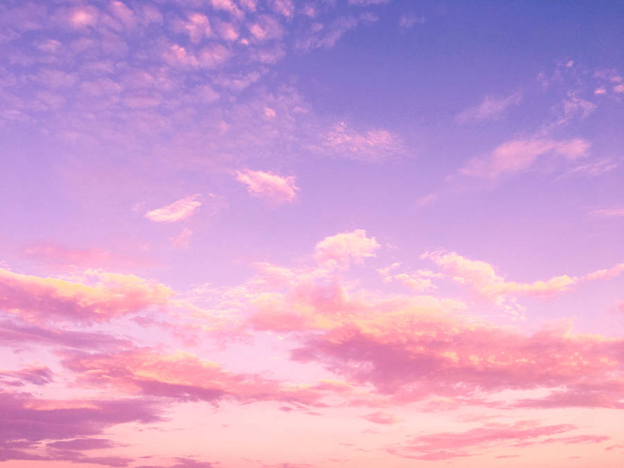 Pink Clouds on Dog dog pastel clouds HD phone wallpaper  Pxfuel