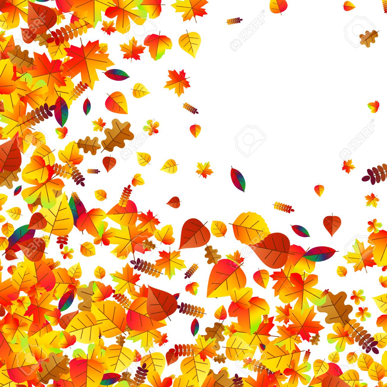 Autumn Leaves Scattered Background With Oak Maple And Rowan