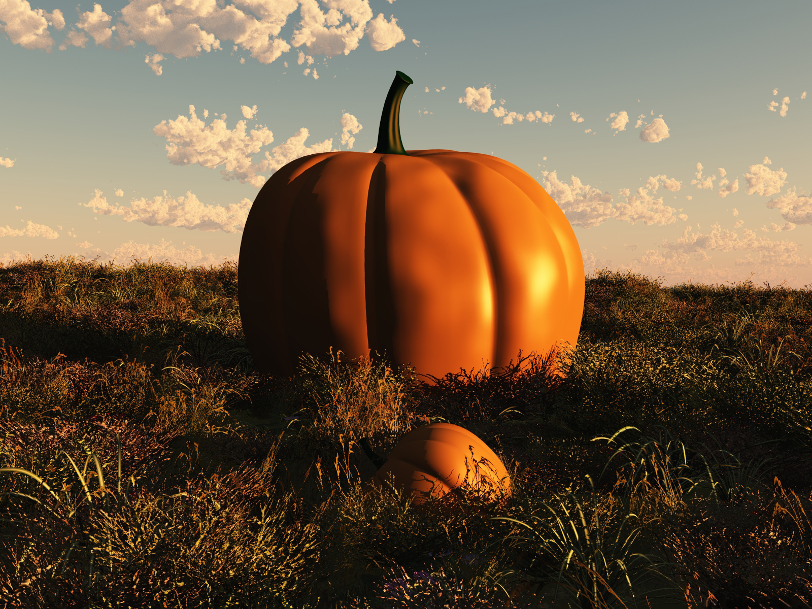 Pumpkin Photography Wallpaper Desktop Background Scenery