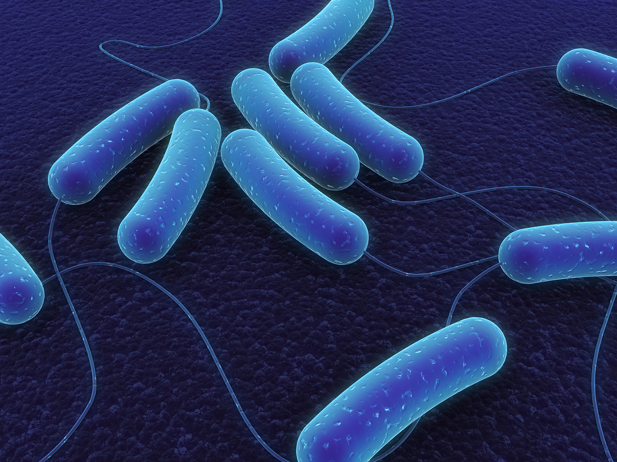 Bacteria In Water Wallpaper HD Background Desktop