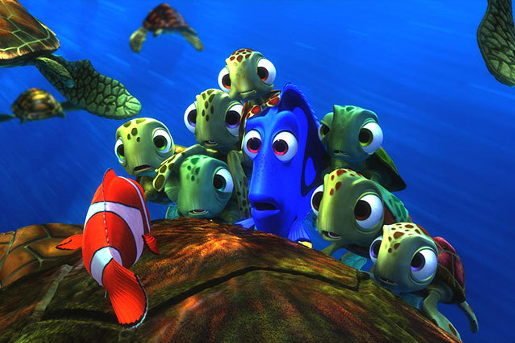 Finding Nemo HD Wallpaper3