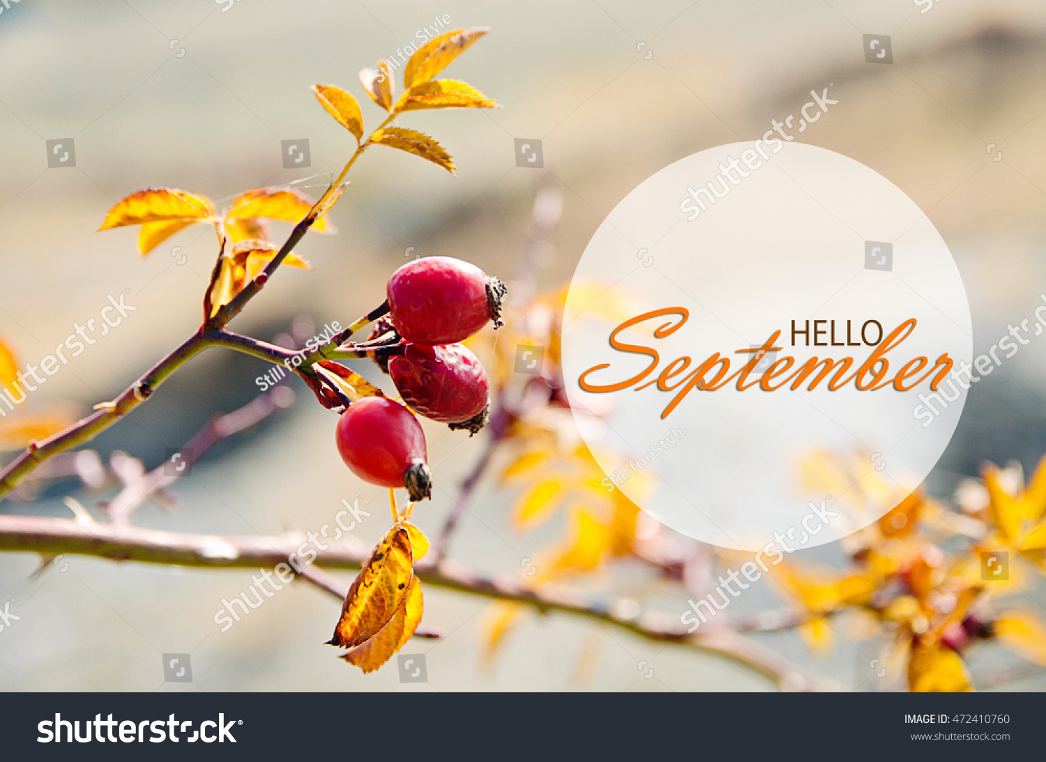 Hello September Wallpaper Autumn Background Yellow Stock Photo