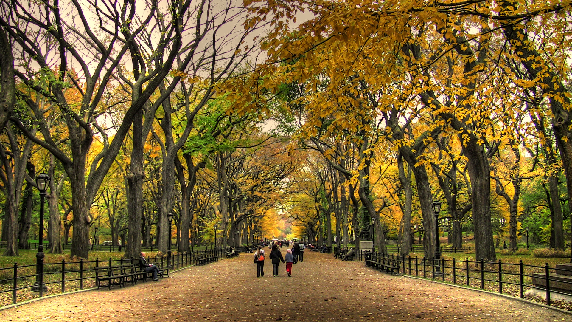 Central Park Autumn Wallpaper