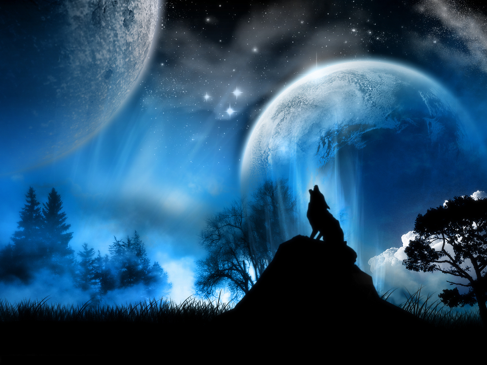 Wolf At Moonlight Wallpaper Jpg
