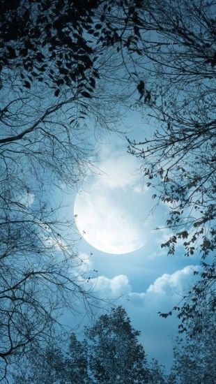 Full Moon Time Nature iPhone Wallpaper