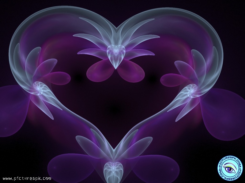 Purple Heart Picture Wallpaper In Resolution
