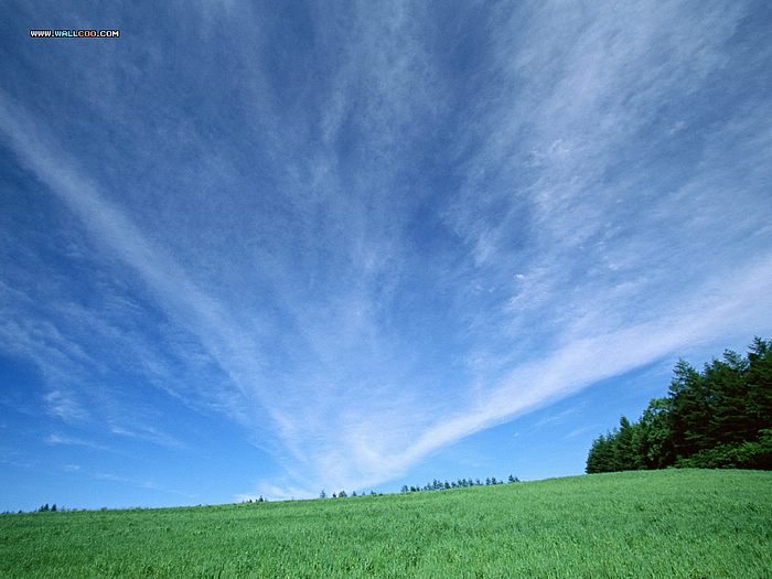 Perfect Farm Scene Wallpaper Vast Country Under Blue Sky10