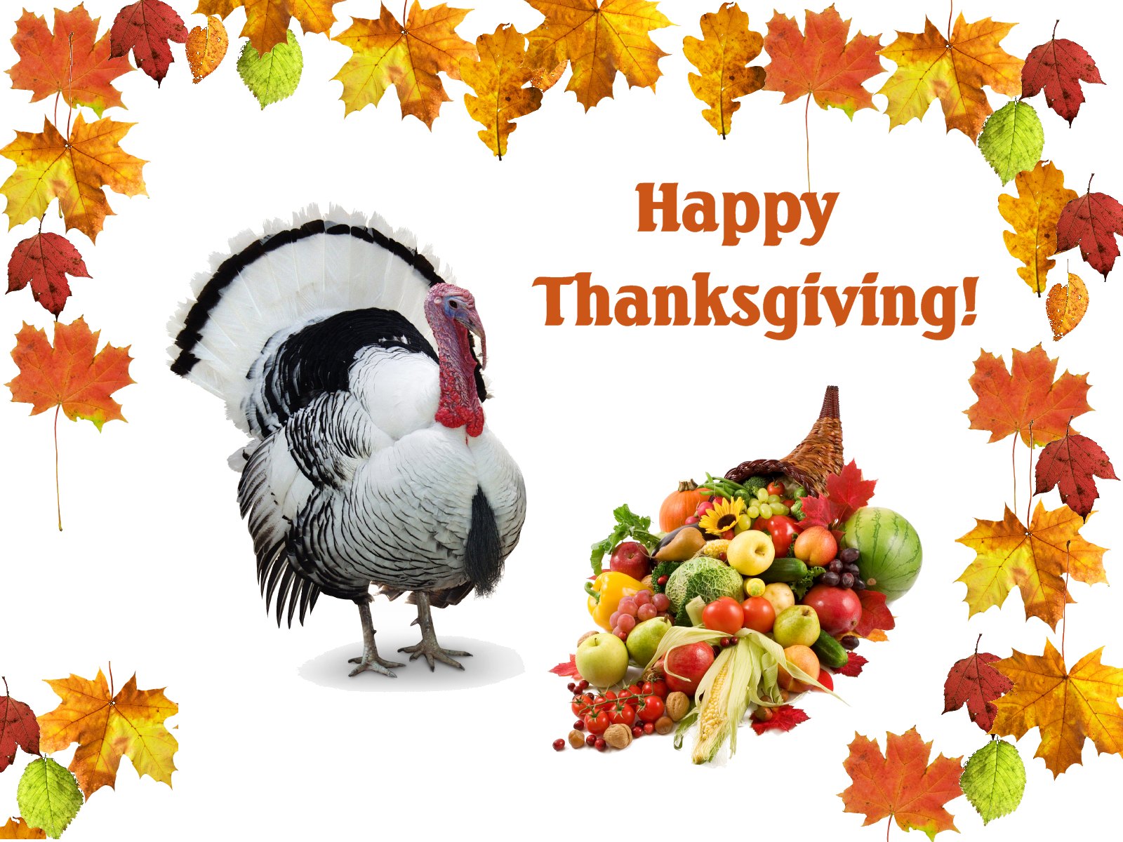 Happy Thankgiving Day Wallpaper HD