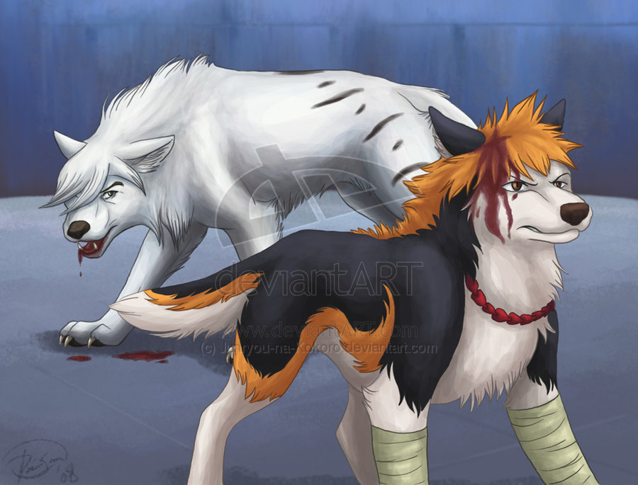 Anime Wolves Image HD Wallpaper And