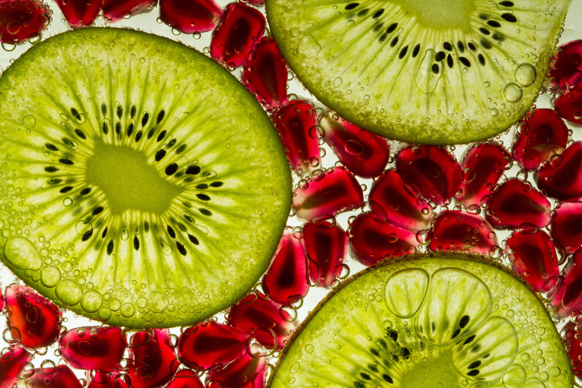 Top Kiwi Wallpaper Full HD 4k To Use