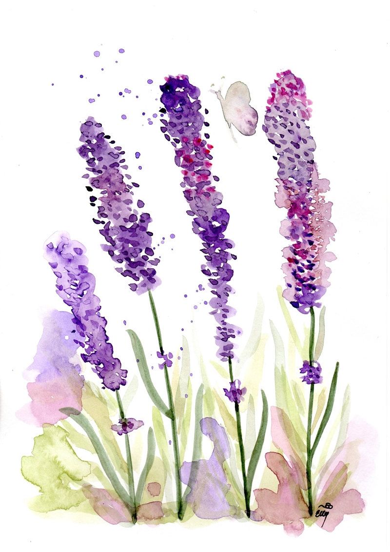 Lavender Watercolour Flowers Purple Art Watercolor Print