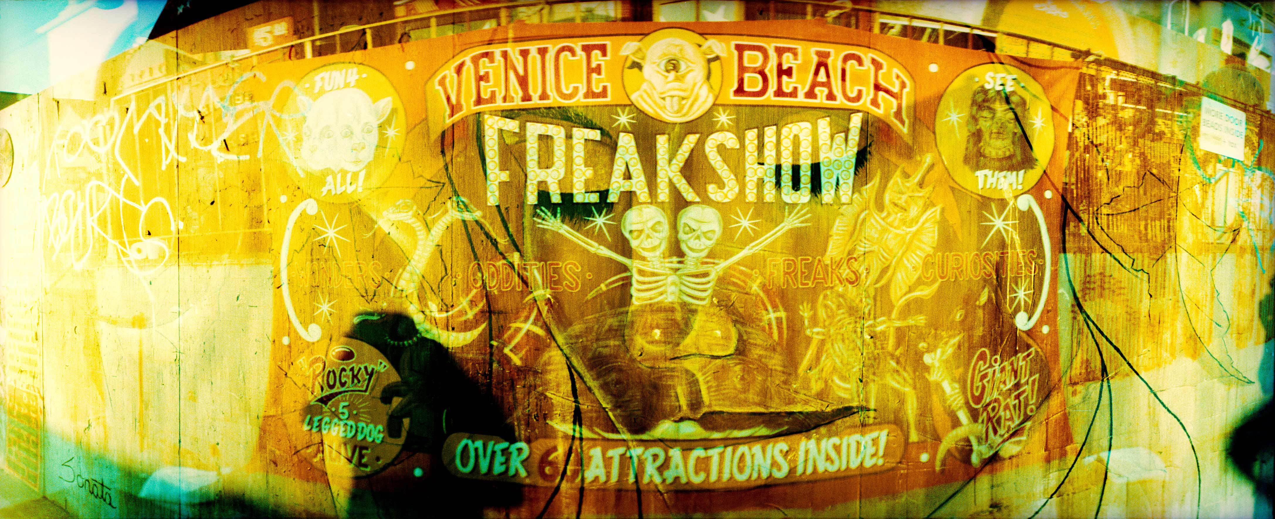 Freak Show Wallpaper And Image Pictures Photos