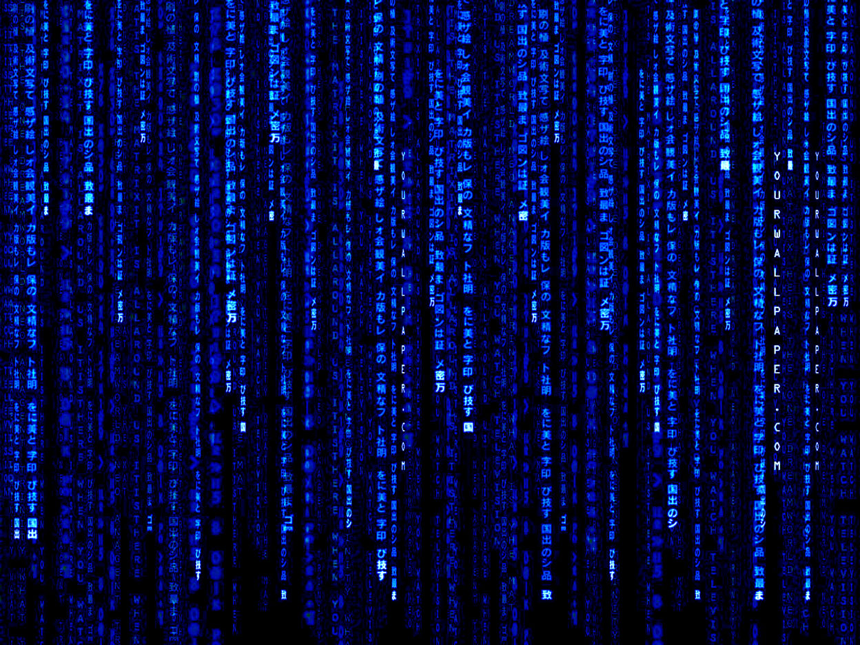 49+] Blue Matrix Wallpaper - WallpaperSafari
