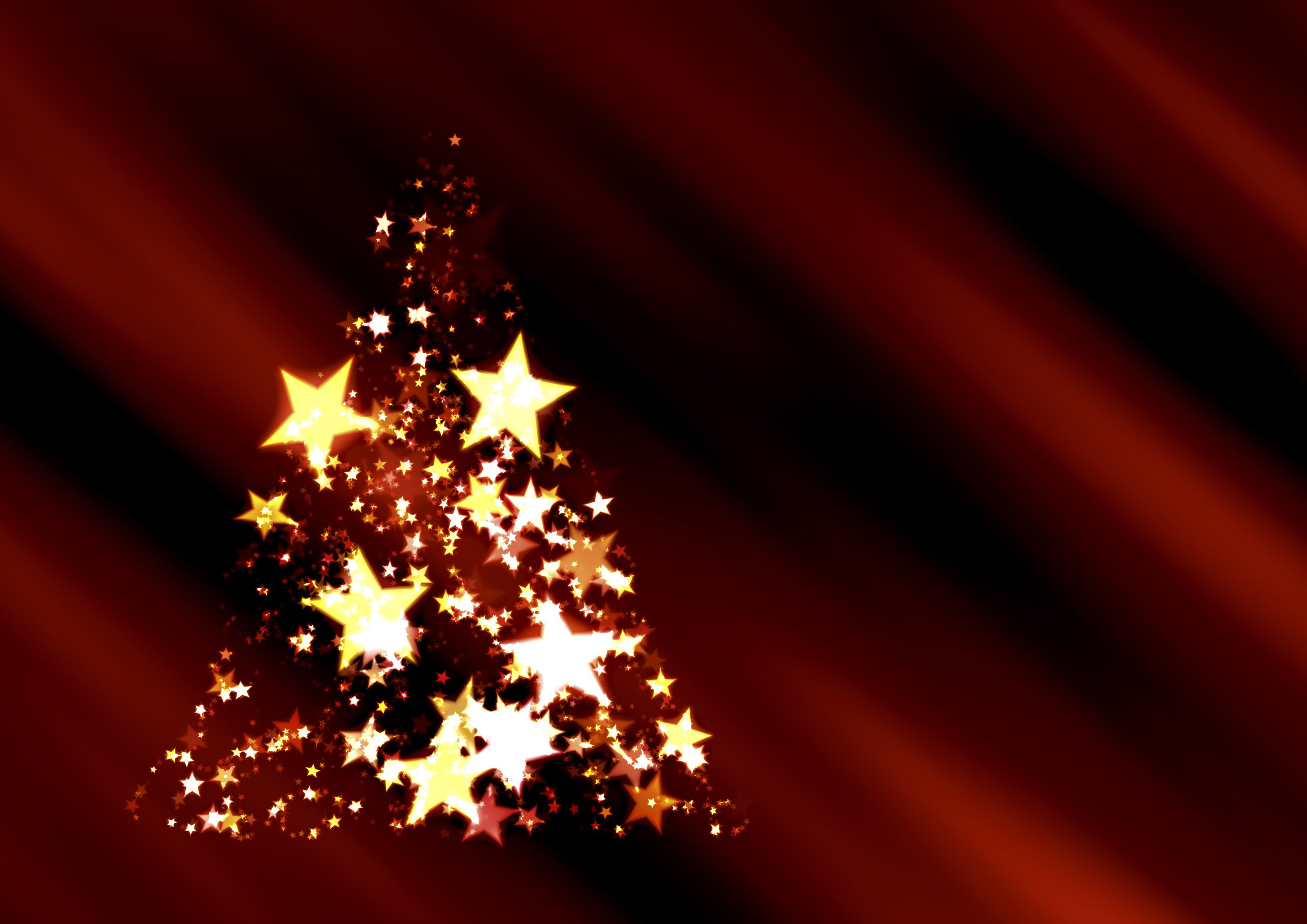 Christmas Tree Related Wallpaper Background Image And Photos