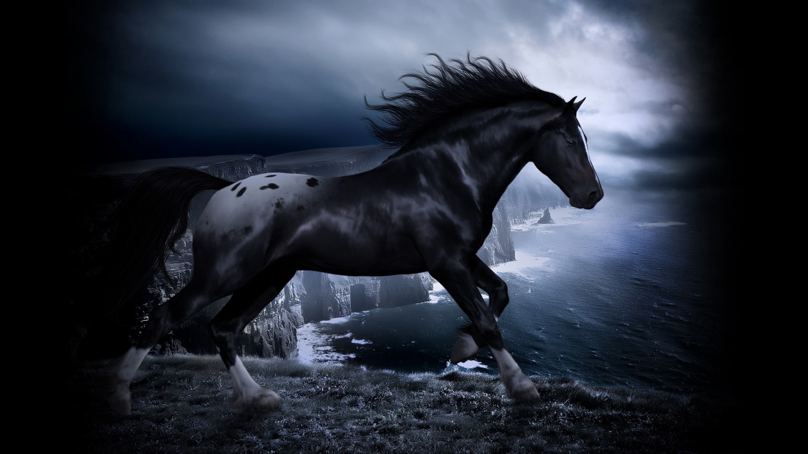 Download wallpaper: Black horse 1080x1920