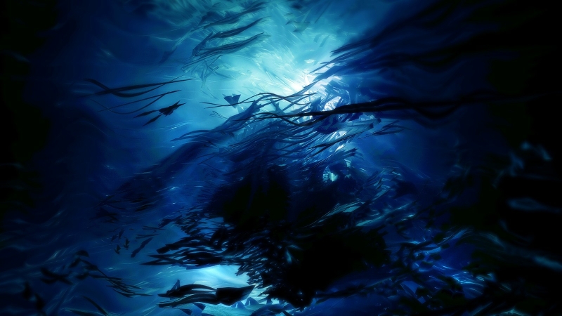 Ocean Fish Sunlight Underwater Wallpaper Nature Oceans HD