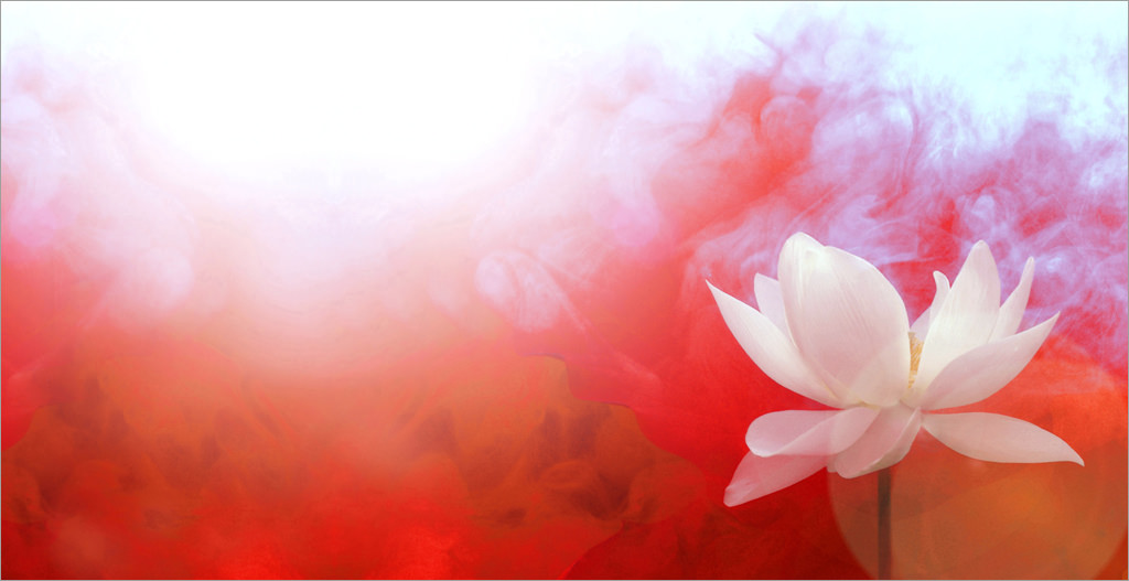 Lotus Flower With Red Background Color