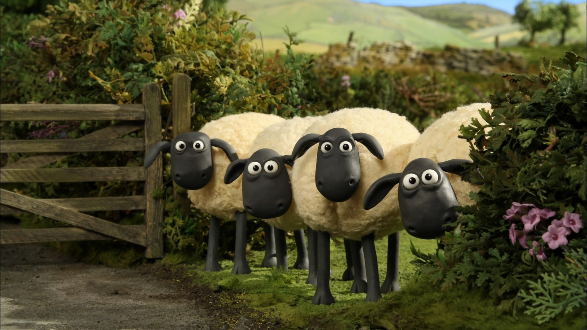 Shaun The Sheep Animation Family Edy