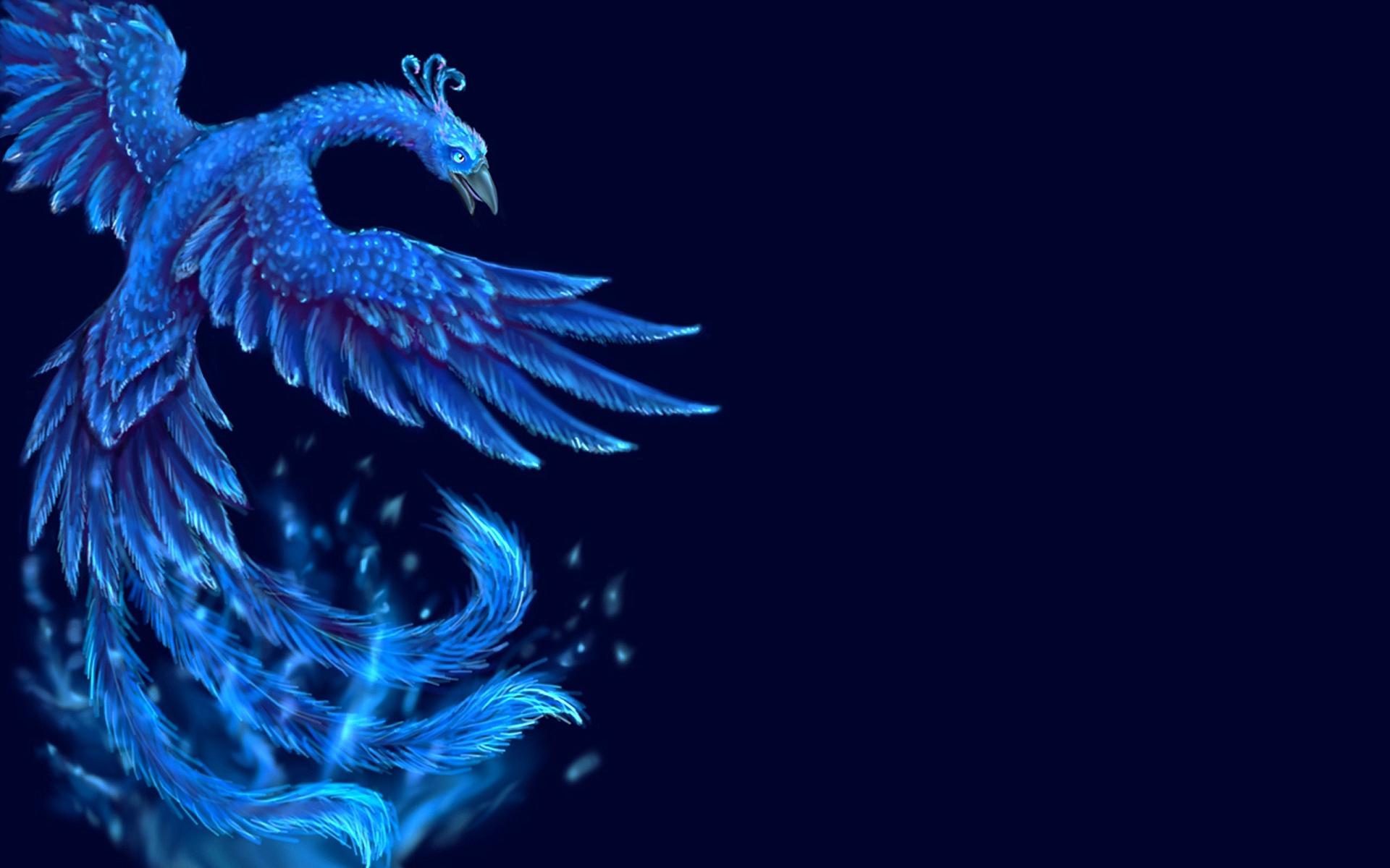 Download Free Phoenix Bird Backgrounds Wallpapercraft