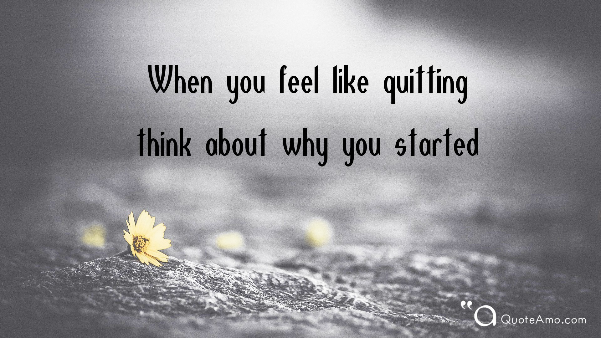Motivational quote on a blurred background with a small yellow flower in the foreground. The quote reads: 