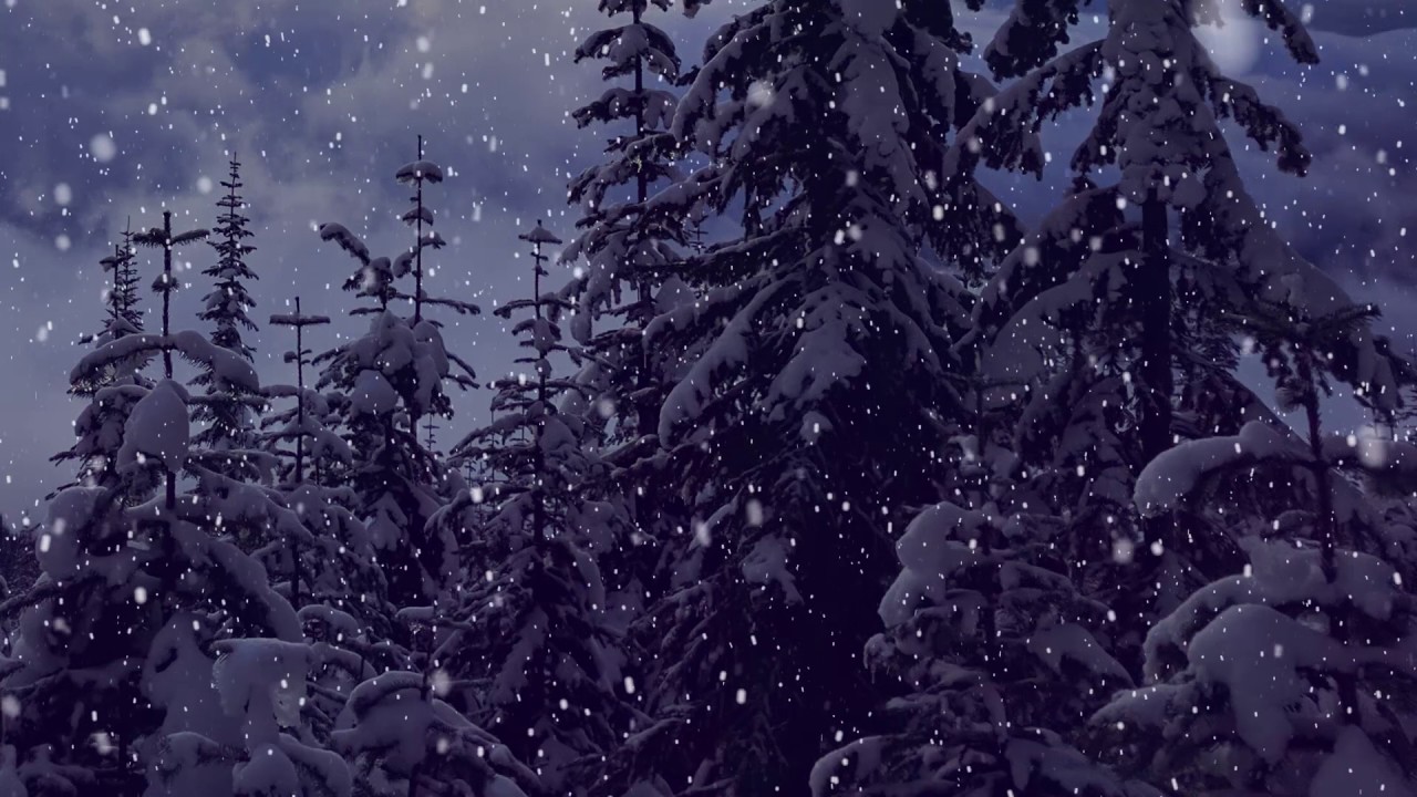 Snow Falling Motion Effect Christmas Background Video