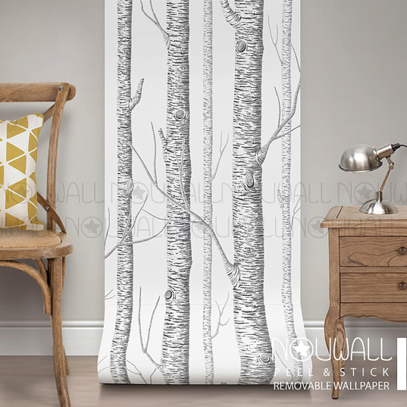 Birch Tree Peel Stick Removable Wallpaper   wall decal   wall 570x570