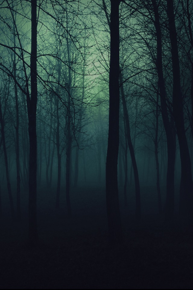 Foggy Trees iPhone Wallpaper