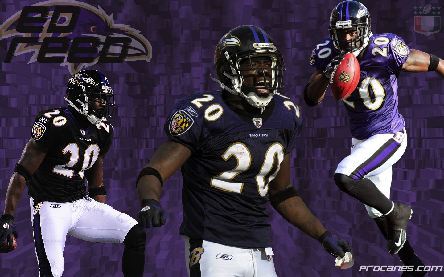 Gallery For gt Ed Reed Hit Wallpaper