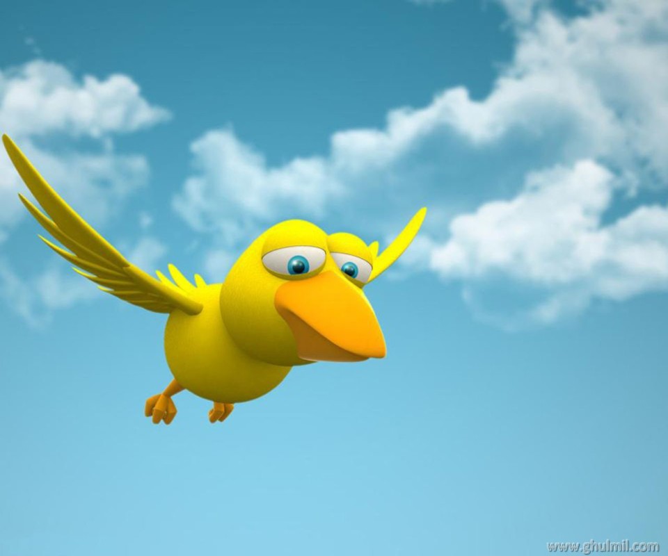 Beautiful 3d HD Flying Duck Wallpaper For Desktops E Entertainment