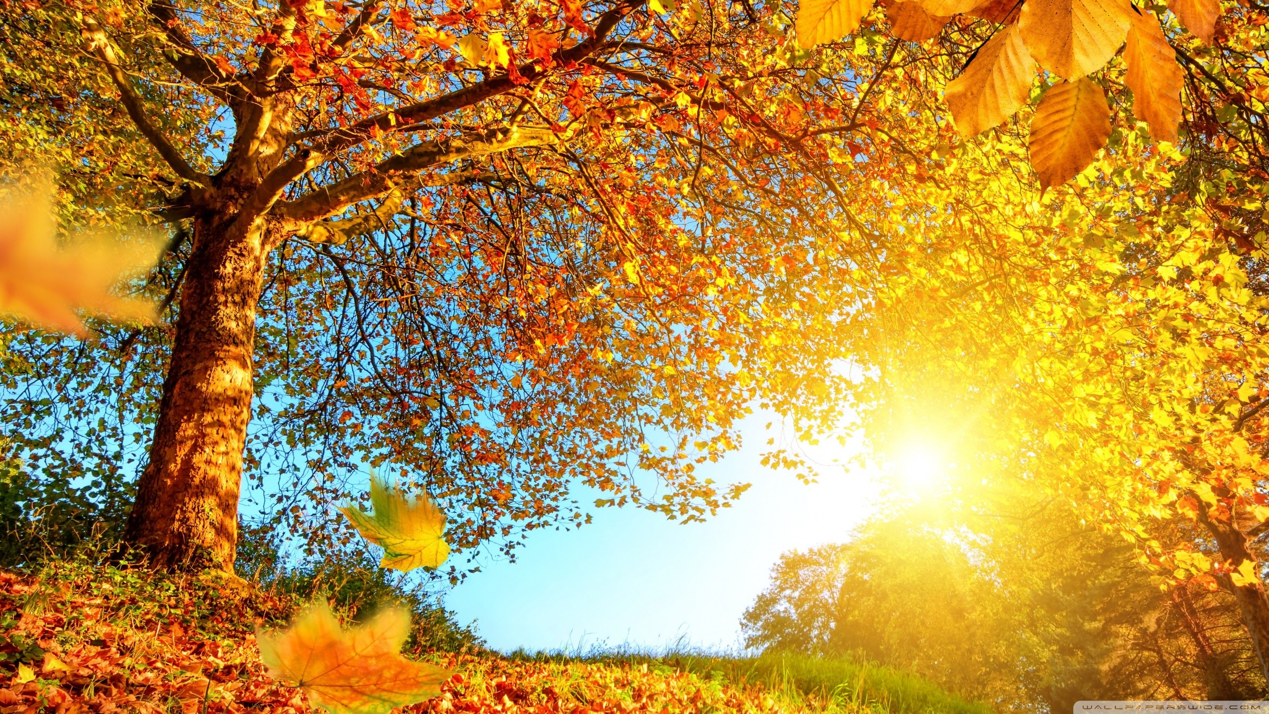 Autumn Landscape Wallpaper