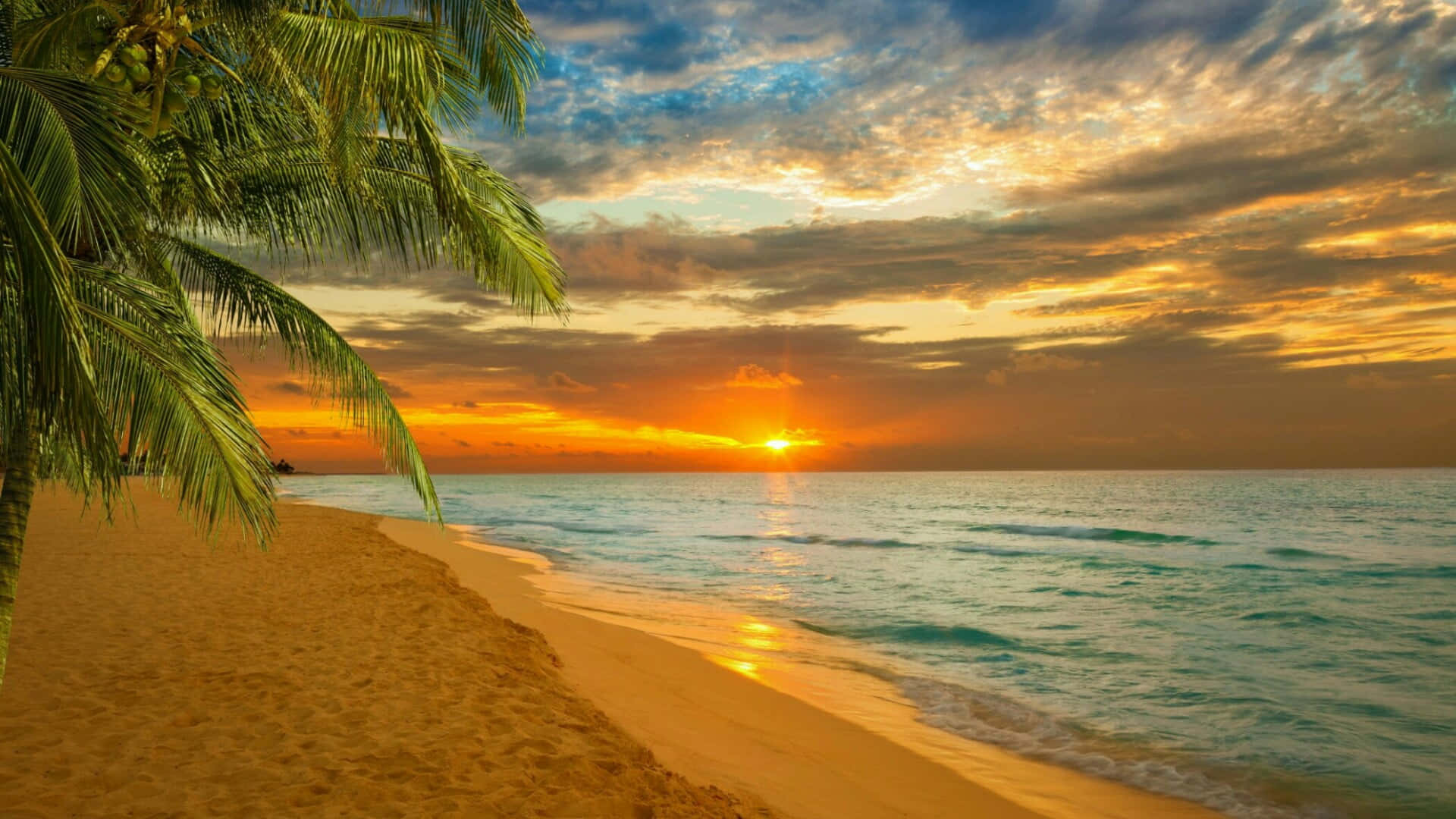 Caribbean Beach Wallpaper