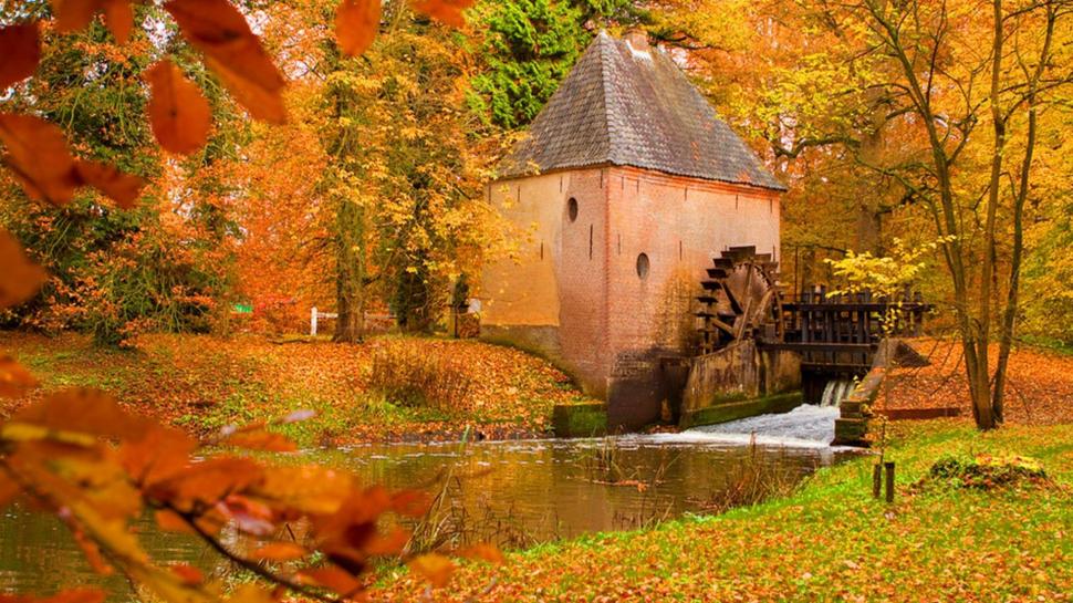 Forest Watermill Wallpaper Nature And Landscape Better