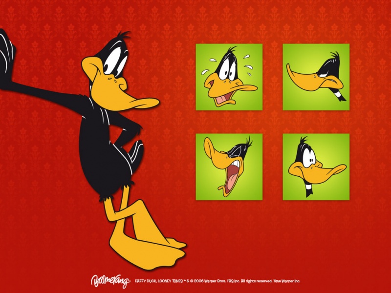 daffy duck looney tunes wallpaper wallpapers55com   Best Wallpapers 800x600