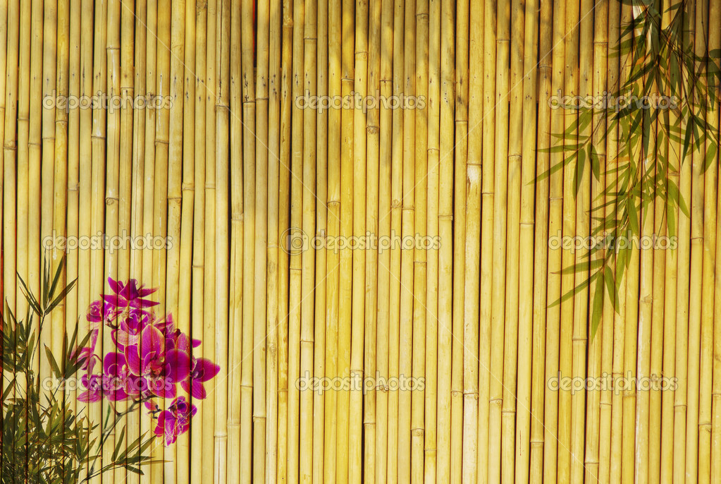 HD Wallpaper Bamboo Orchids Desktop Background X