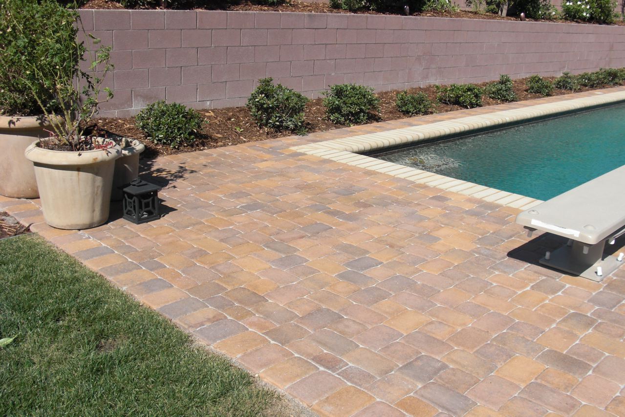 Free download Alan Zale for The New York Times [600x325] for your Desktop, Mobile & Tablet