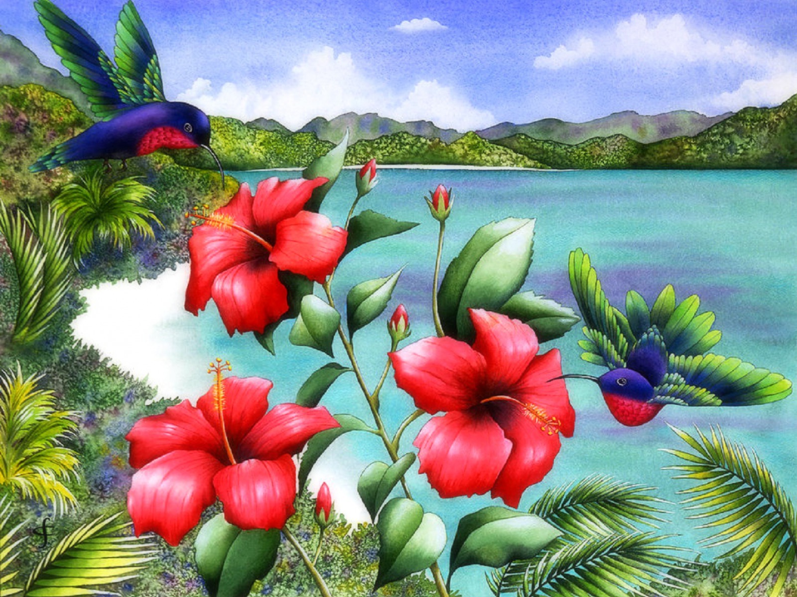 Hummingbirds Red Hibiscus Desktop Pc And Mac Wallpaper