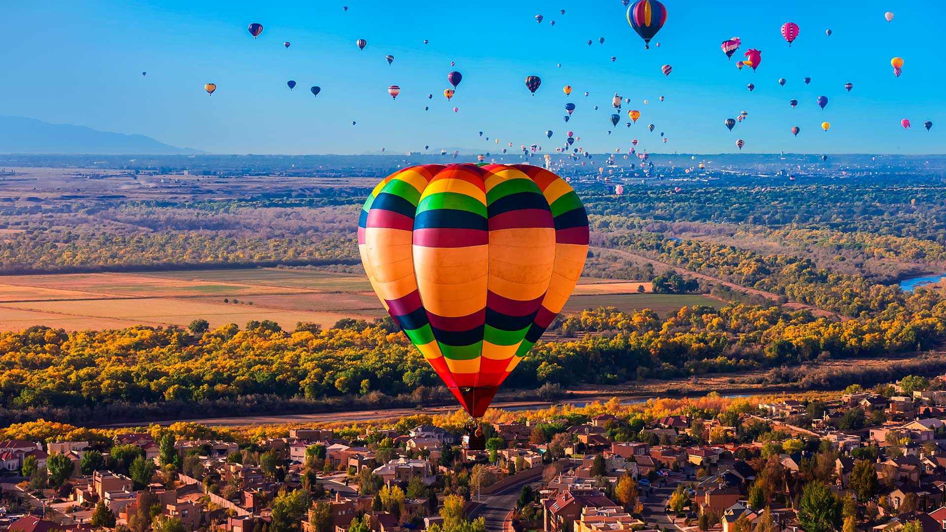 Hot air Balloons flying during the albuquerque International