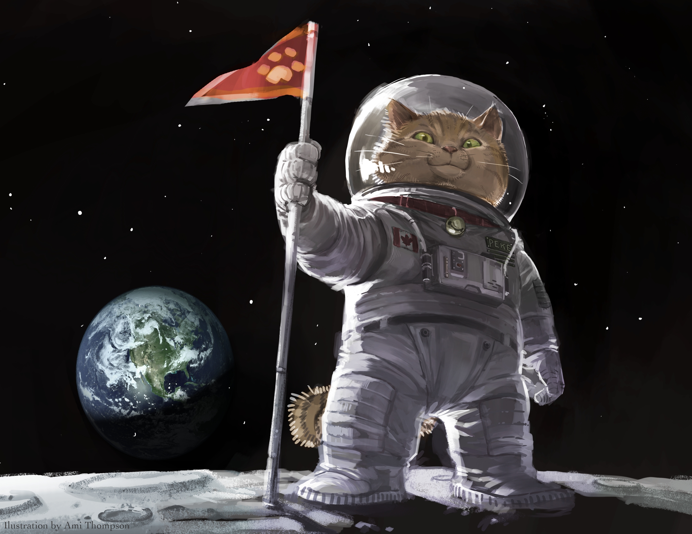 Ami Thompson Original Cat Space Plas Humor Wallpaper