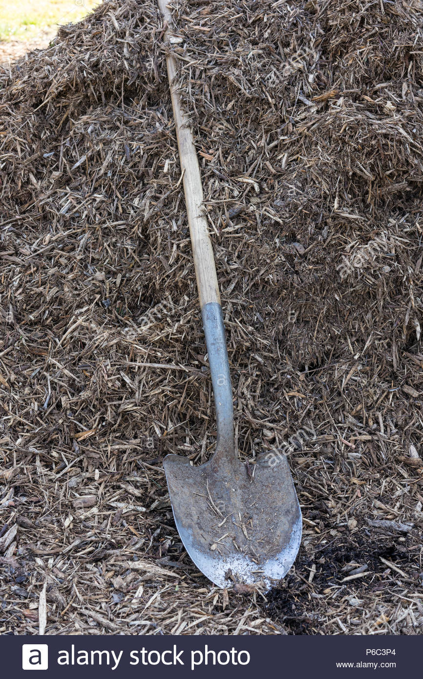 Shovel Or Spade In Garden On Earth Background Stock Photo
